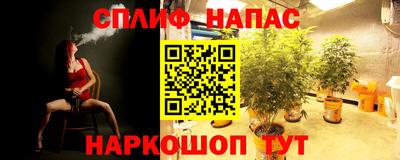 герыч Ставрополь